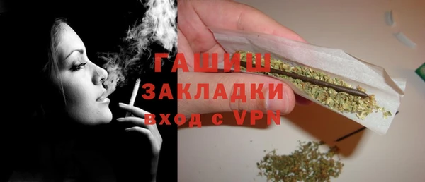 хмурый Аркадак