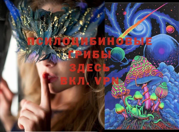 сатива Баксан