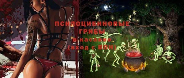 дурь Белоозёрский