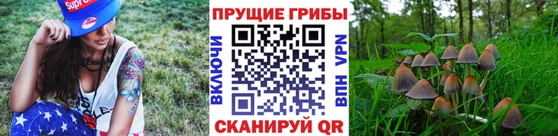 Галлюциногенные грибы GOLDEN TEACHER Купить где Первоуральск